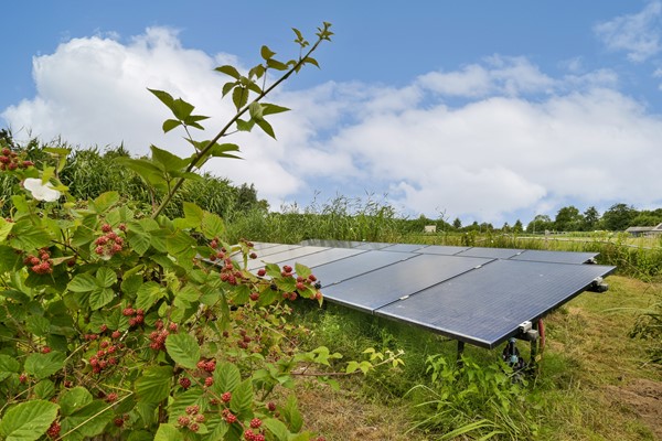 Medium property photo - Dorpeldijk 13, 3481 GW Harmelen